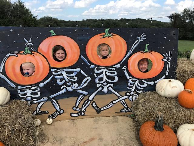 Pumpkin patch photo