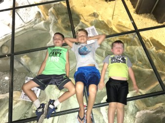 63FEAB69-60D2-4C0B-AC03-5CC6C7B7BE0B