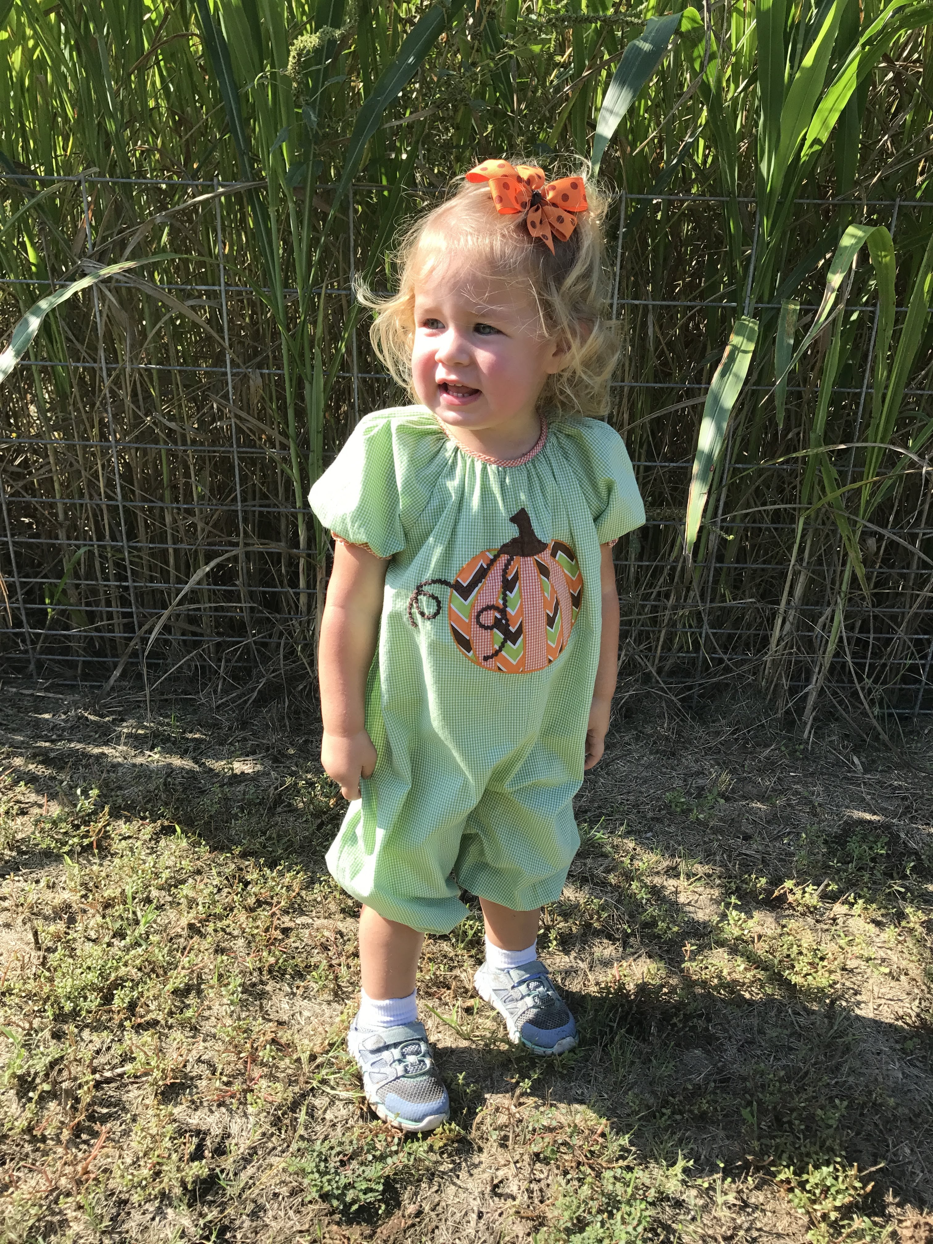 About to enter the corn maze at the fall festival