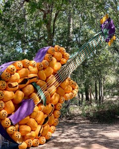 Pumpkin Nights Austin