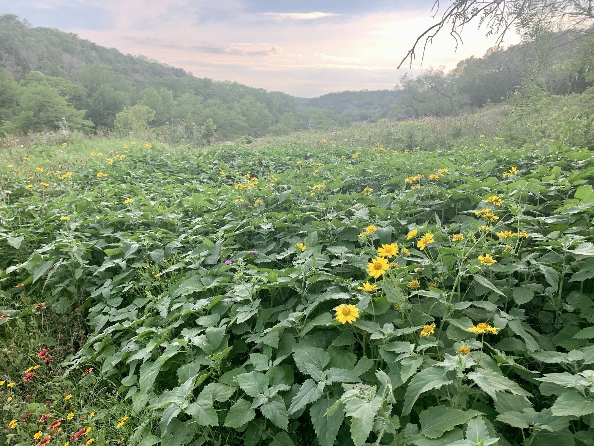 Hiking the Texas Hill Country