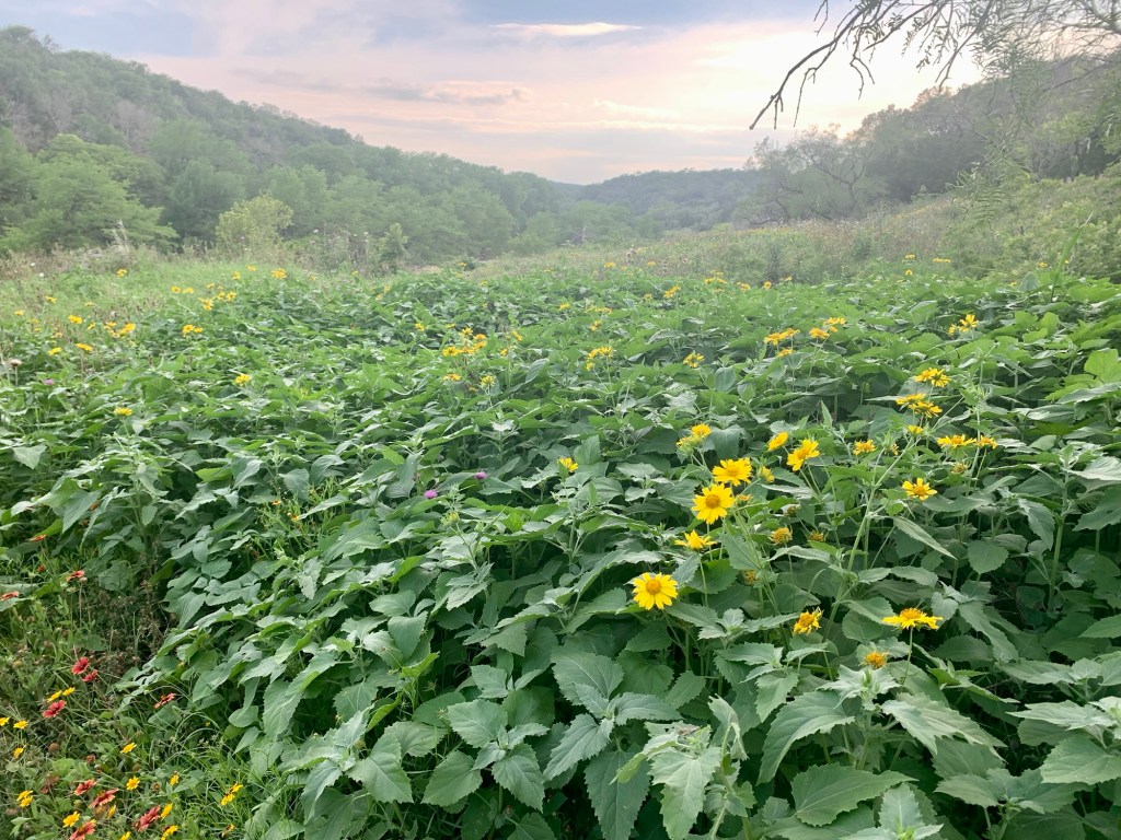 Hiking the Texas Hill Country