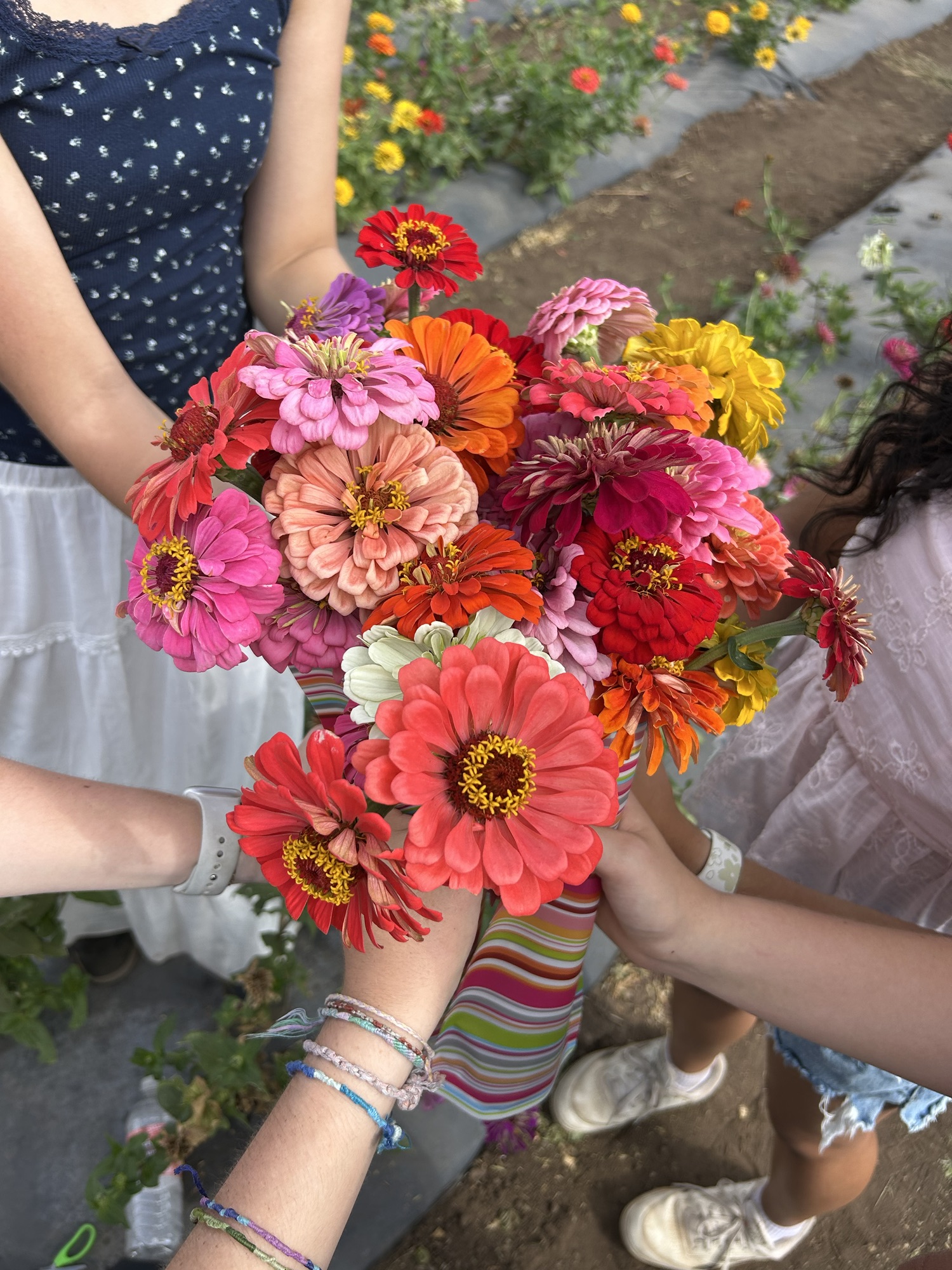 October Dripping Dripping with Kids’ Four Faves from This Week: Oct 20-26, 2024 ...